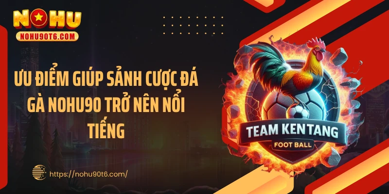 Ưu điểm giúp sảnh cược đá gà Nohu90 trở nên nổi tiếng